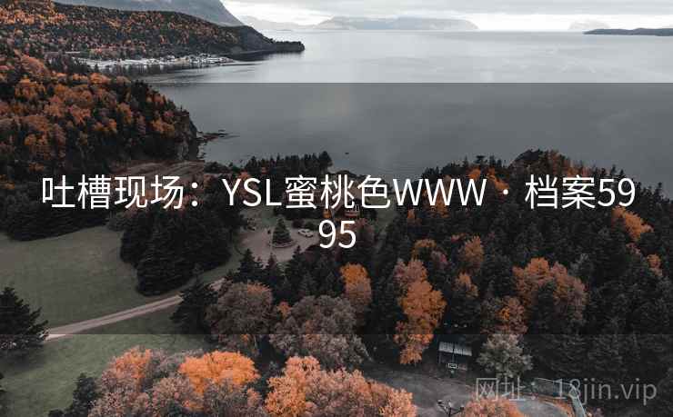 吐槽现场：YSL蜜桃色WWW · 档案5995