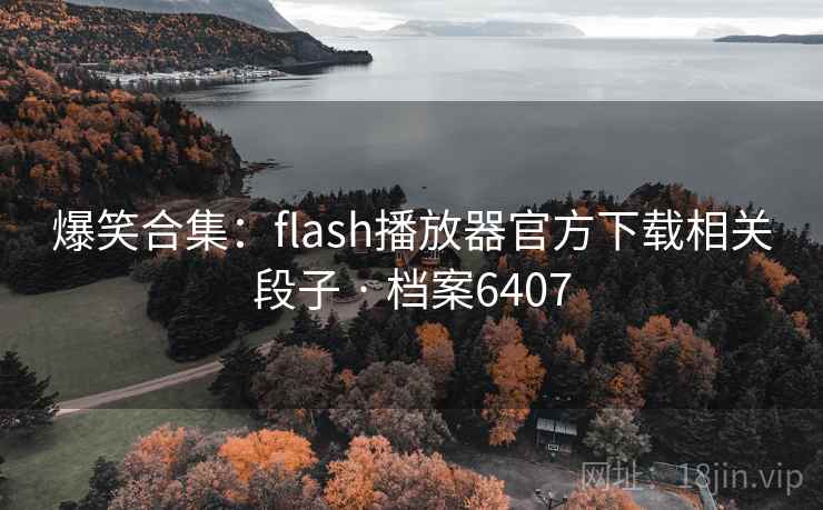 爆笑合集：flash播放器官方下载相关段子 · 档案6407